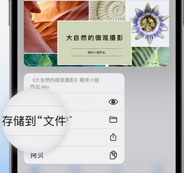 蕉城apple维修中心分享iPhone文件应用中存储和找到下载文件