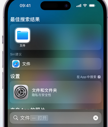 蕉城apple维修中心分享iPhone文件应用中存储和找到下载文件 