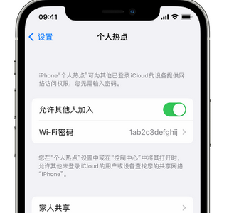 蕉城apple服务站点分享iPhone上个人热点丢失了怎么办 