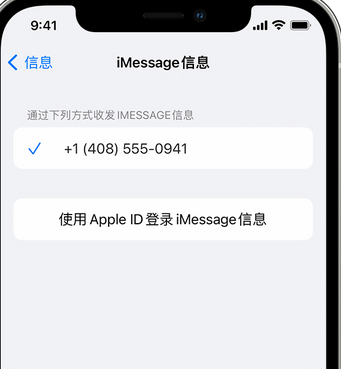 蕉城apple维修iPhone上无法正常发送iMessage信息 