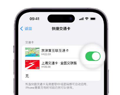 蕉城apple维修点分享iPhone上更换Apple Pay快捷交通卡手绘卡面 