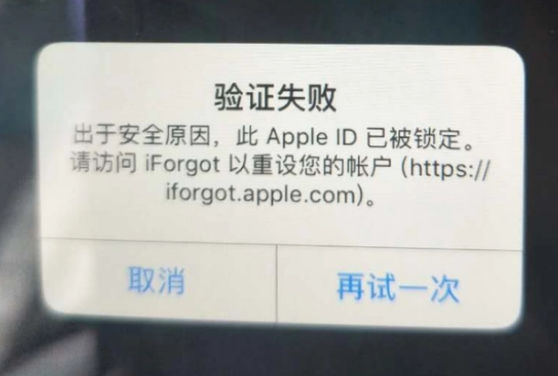 蕉城iPhone维修分享iPhone上正常登录或使用AppleID怎么办 