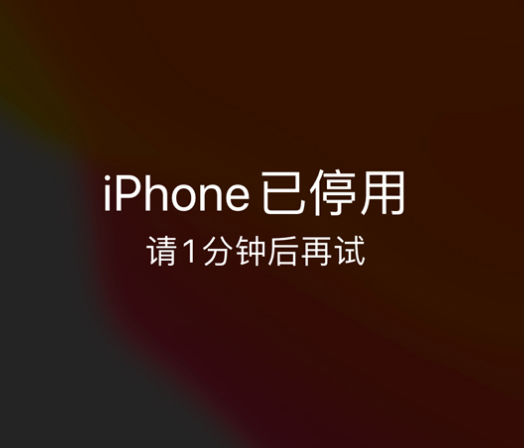 蕉城苹果手机维修分享:iPhone 显示“不可用”或“已停用”怎么办？还能保留数据吗？ 