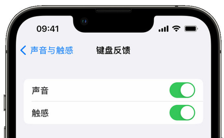 蕉城苹果手机维修分享iPhone 14触感键盘使用方法 