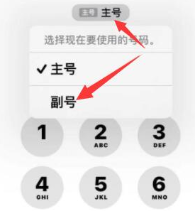 蕉城苹果14维修店分享iPhone 14 Pro Max使用副卡打电话的方法 