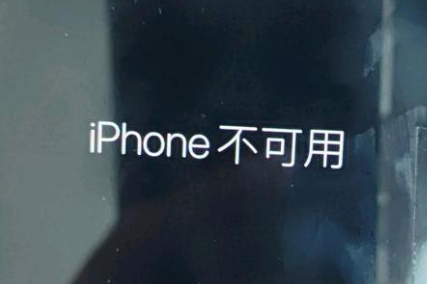 蕉城苹果服务网点分享锁屏界面显示“iPhone 不可用”如何解决 