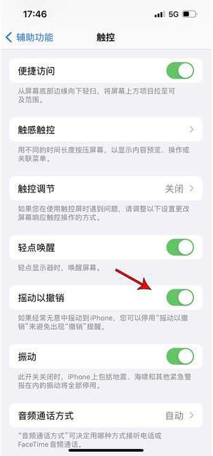 蕉城苹果手机维修分享iPhone手机如何设置摇一摇删除文字 